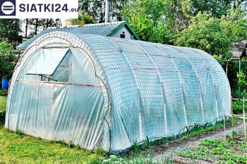 Siatki Zgorzelec - Odporna na wiatr folia ochronna dla upraw warzywnych w tunelach dla terenów Zgorzeleca